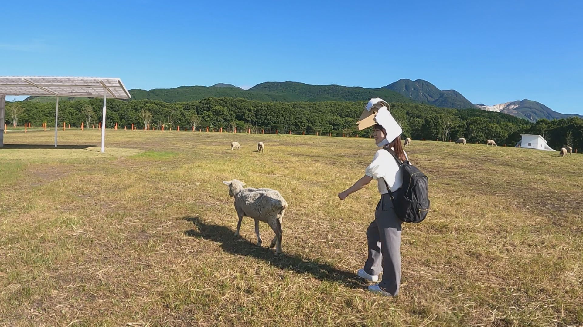 ヒツジになりきる自然体験施設に 真夏でも寒さを感じられる〇〇 大分県