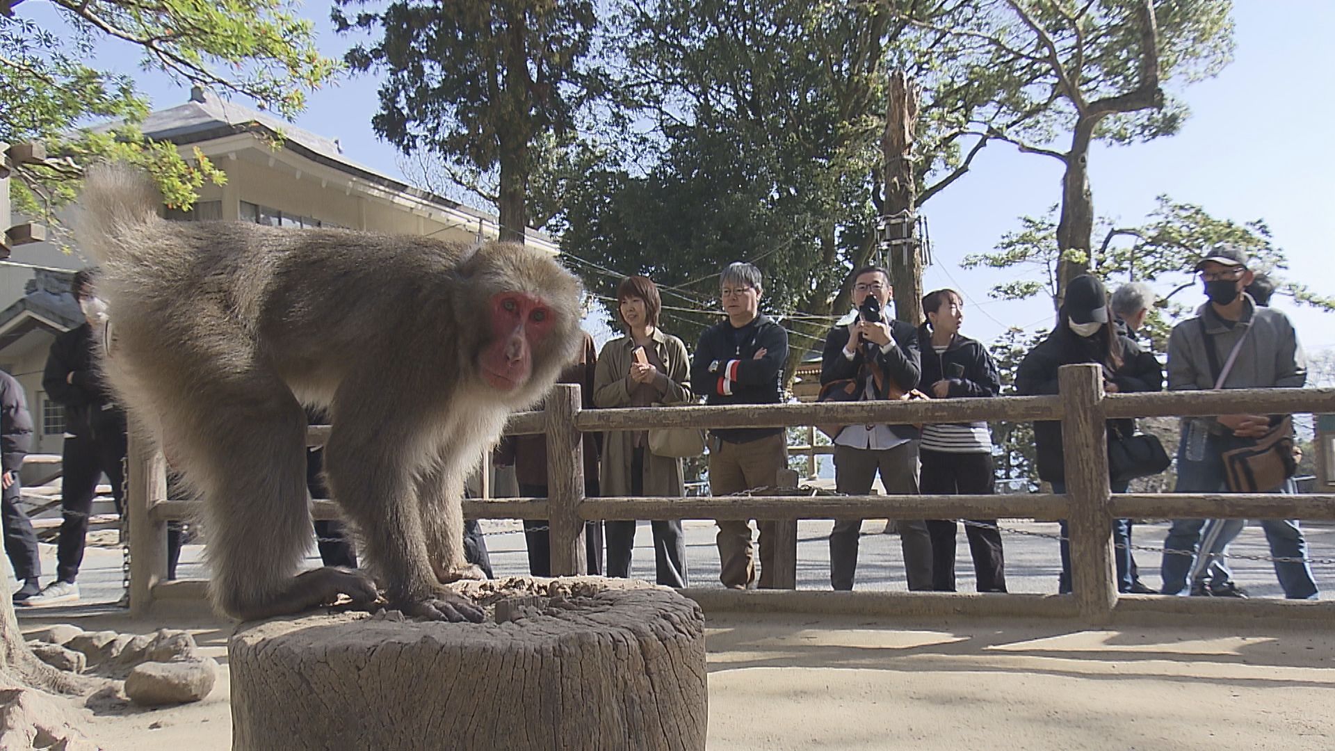 3連休最終日 大分県内の行楽地はにぎわい 野生のサルの餌付けで知