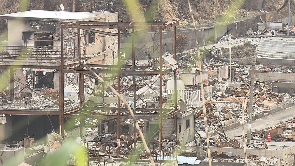 住宅解体やがれき処理に向けて被災者立ち会いで調査始まる 1月中には作業開始へ 大分市佐賀関大規模火災（2026年1月13日掲載）｜TOS NEWS  NNN