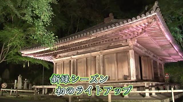 国宝・富貴寺で幻想的なライトアップ　新緑シーズンでは初開催　大分