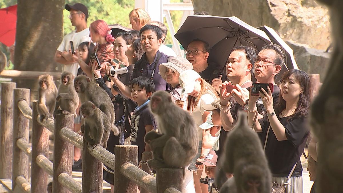 3連休最終日　「高崎山」多くの観光客でにぎわう　15日まで営業時間を延長　大分