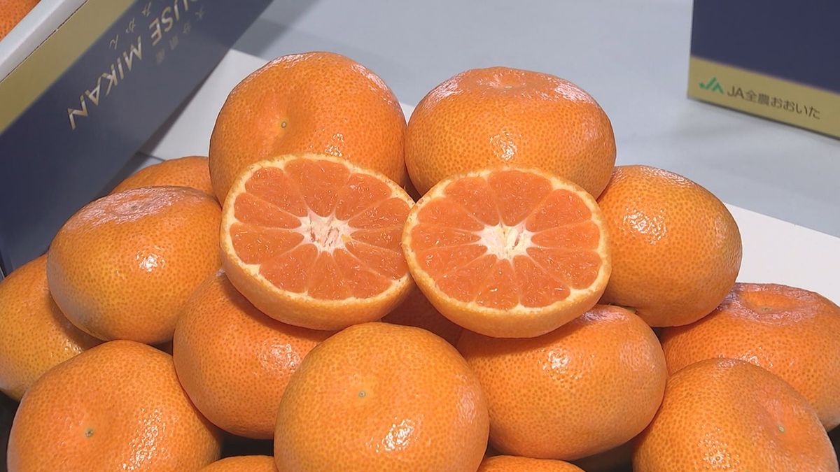 実がぎっしり「大分ハウスミカン」の初競り　1キロ平均2520円例年並みの価格に