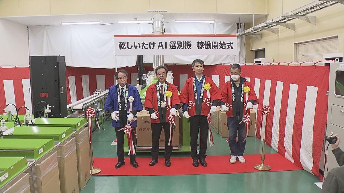 乾しいたけをAIで自動に仕分け　作業効率は1.5倍に　生産者の期待高まる大分の特産品