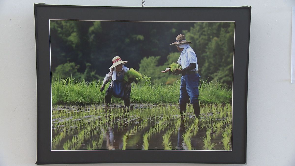 県美術展「写真展」375点が並ぶ　大賞は夫婦の仲むつまじさがあらわれた作品「夫唱婦随」大分