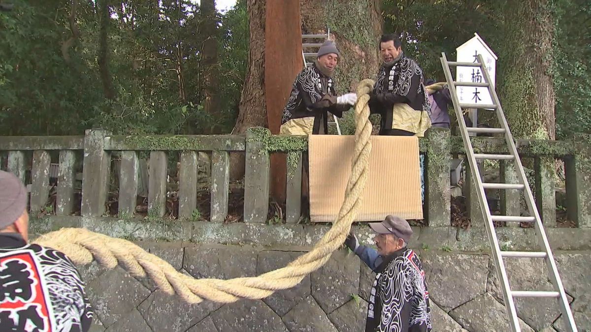 「心が洗われる」別府市の八幡朝見神社でしめ縄を張り替え　樹齢1000年といわれるご神木にも　大分