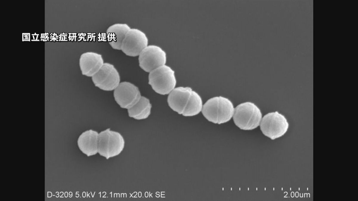 「人食いバクテリア」劇症型溶連菌　過去最多を更新　手足口病も警報続く