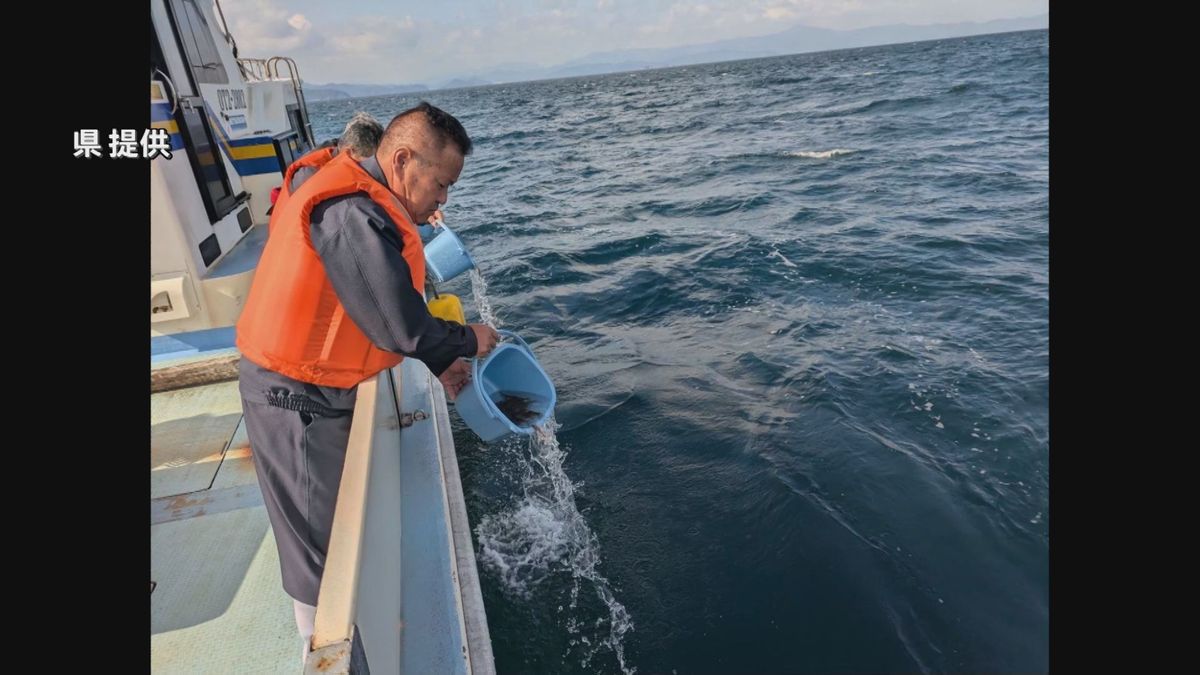 天皇皇后両陛下から漁業者に手渡された「イサキの稚魚」など　記念放流　大分