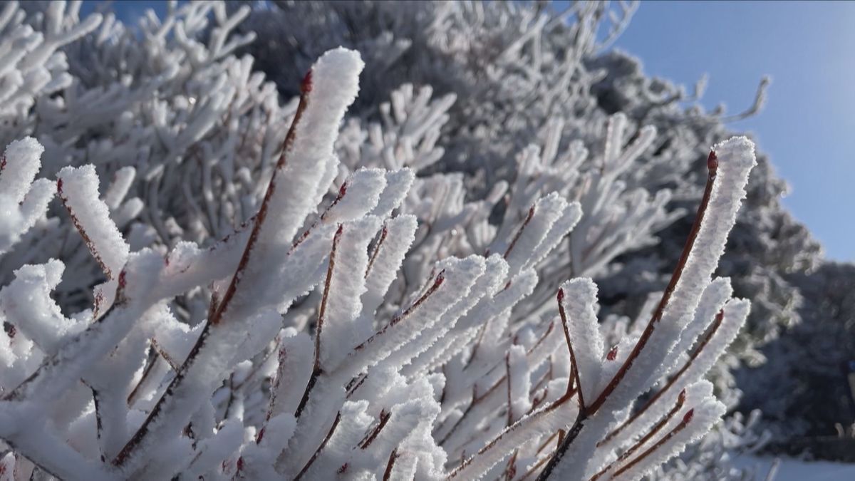 季節外れの暖かさ一転…今シーズン一番の寒さの地点も　竹田市で氷点下5.2℃　大分