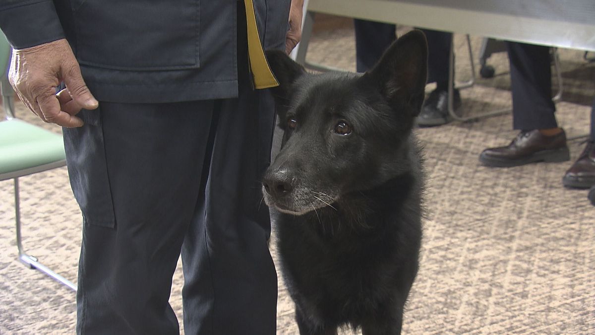 枕カバーのにおいをもとに…行方不明になった高齢男性を発見　警察犬に犬用のガム贈呈　大分