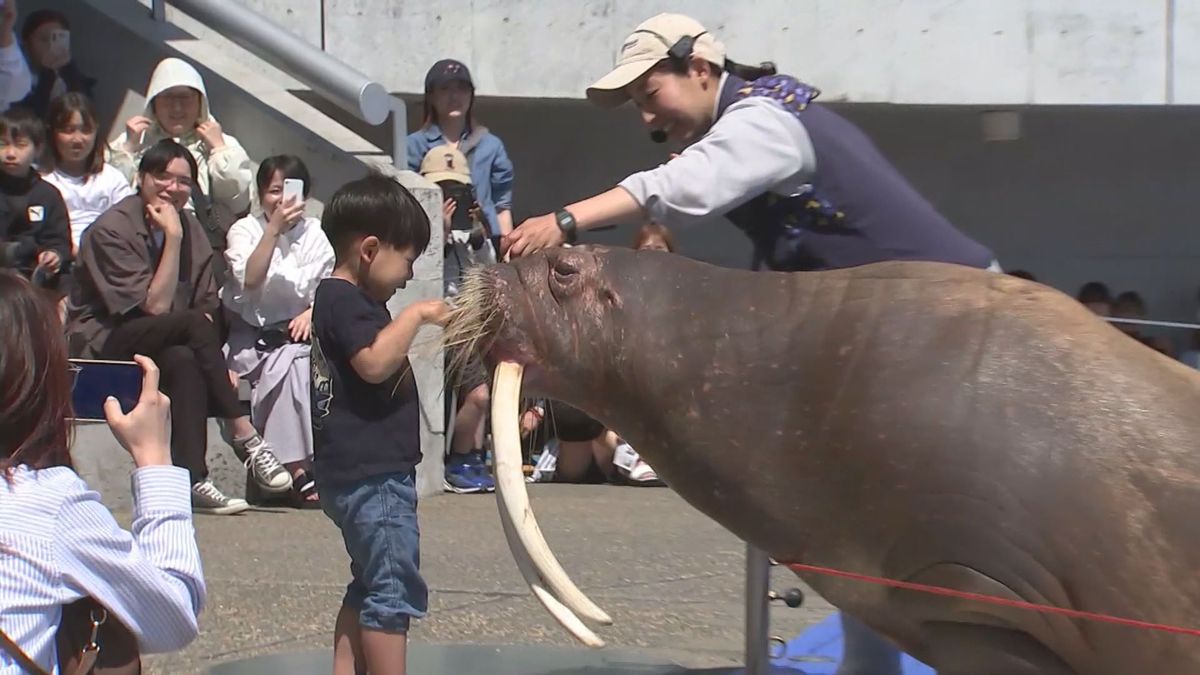 水族館うみたまご　ゴールデンウイーク後半 多くの人でにぎわう　大分