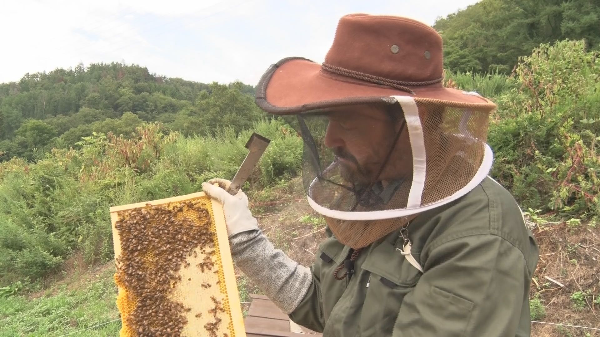 【特集】信州の恵みが香る…蜂蜜を発酵させた酒“ミード”を造るアメリカ人男性　イギリスの品評会で金賞も…