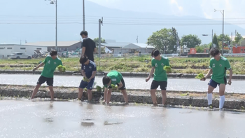 松本で真夏日予想　熱中症に注意を　松本山雅FCユースの選手たちが田植え【長野】