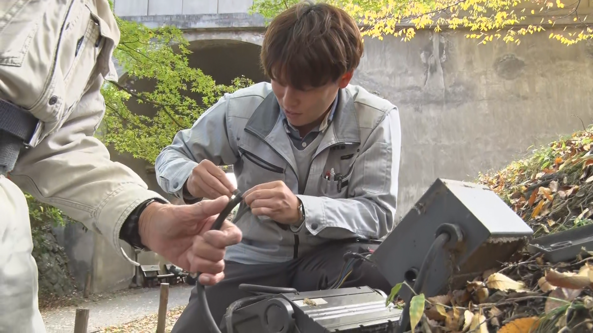 上田城跡公園でケーブル切られる　紅葉…