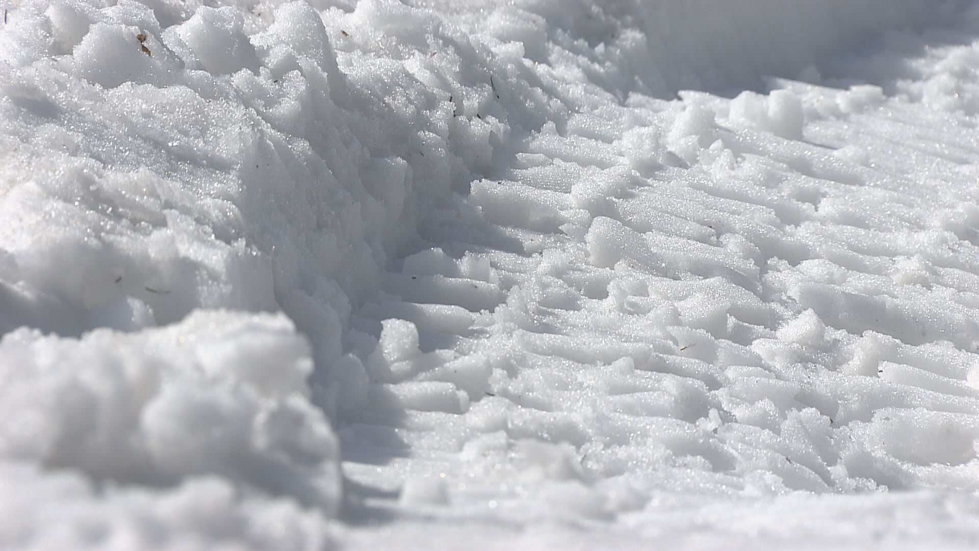 河川敷でのツアー中止を県が指示　先月…