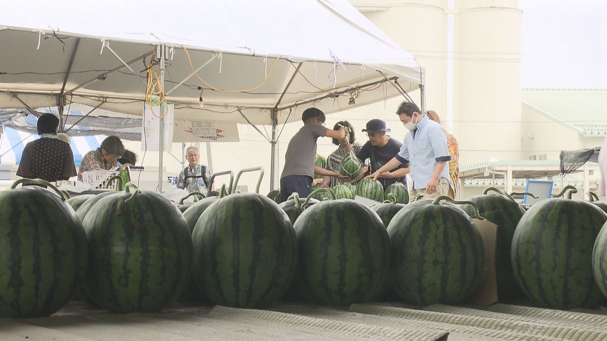 待ってました♪　オープン前から行列　スイカ産地の「すいか村」オープン　生産者から直接購入が人気　県外からも...　