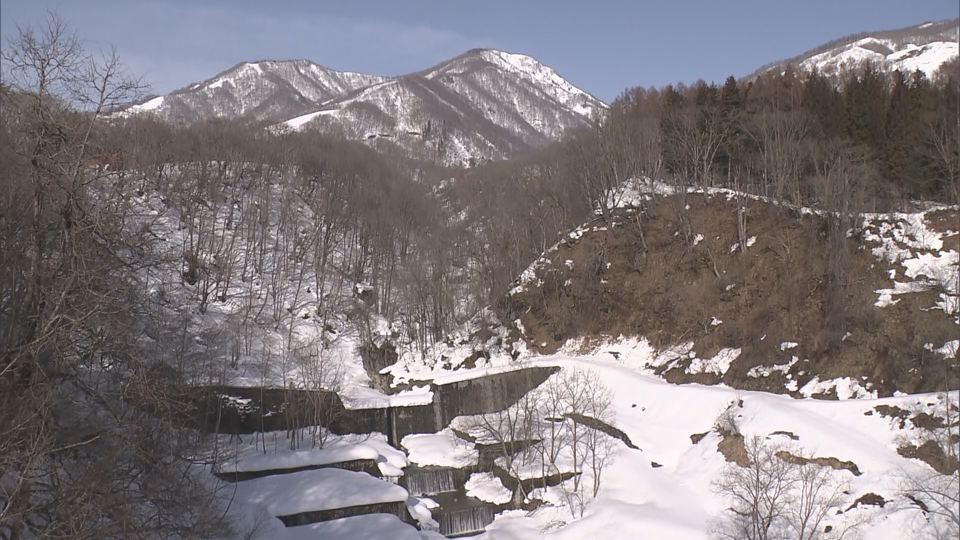 「板が外れて動けなくなった」外国籍の…
