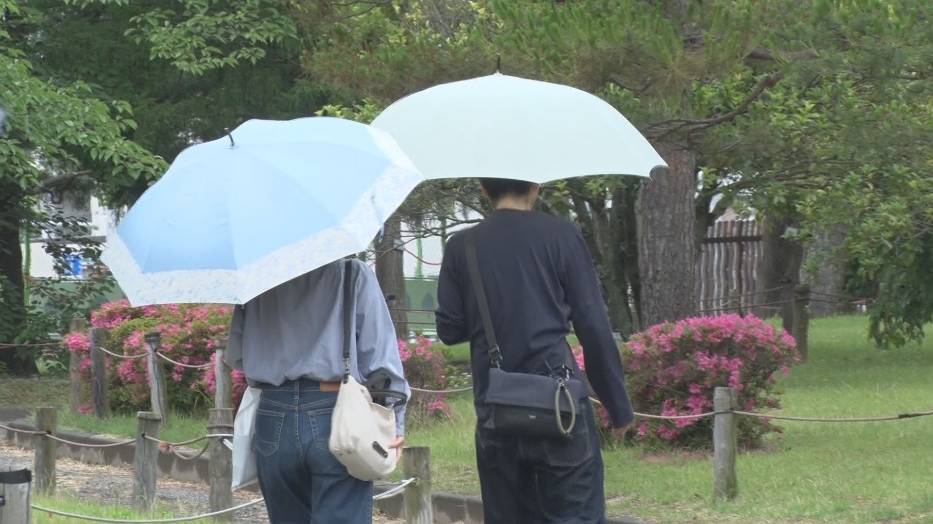 長野県を含む関東甲信が「梅雨入り」平…