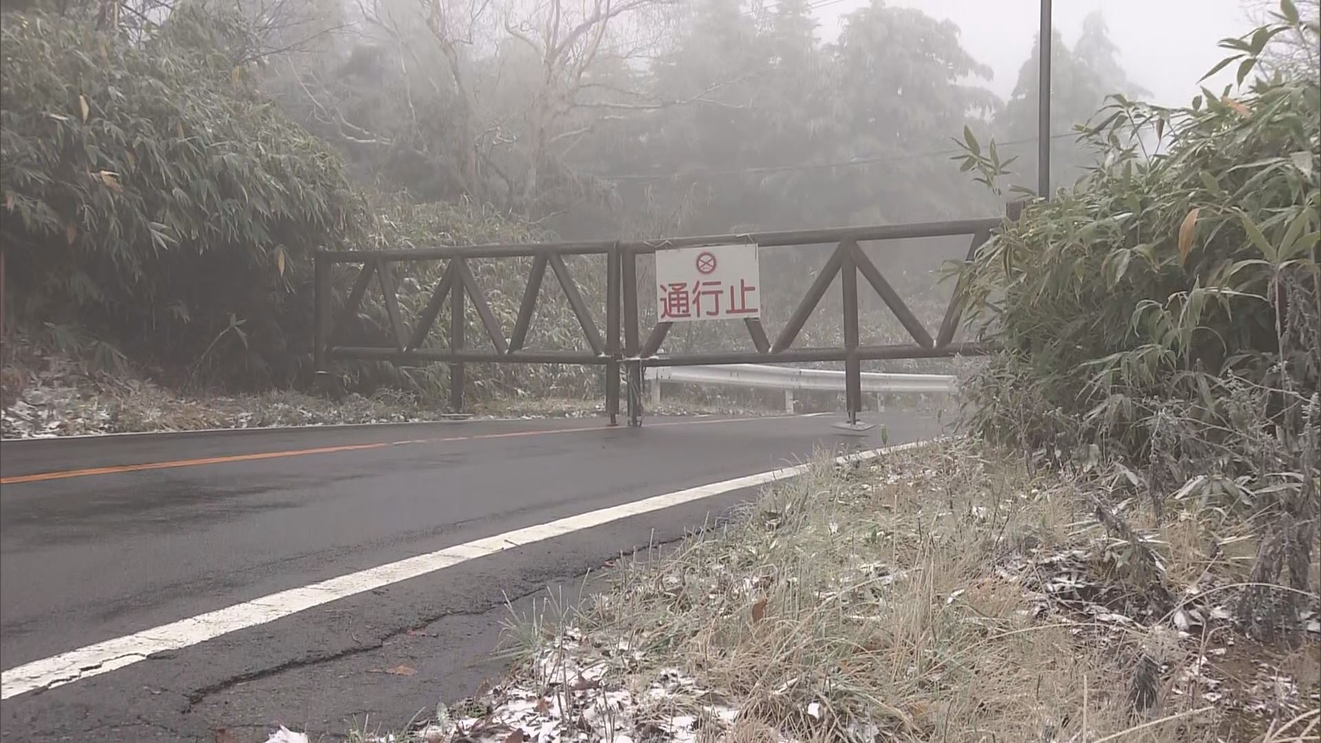 志賀高原も雪に　落ち葉の上にうっすら…