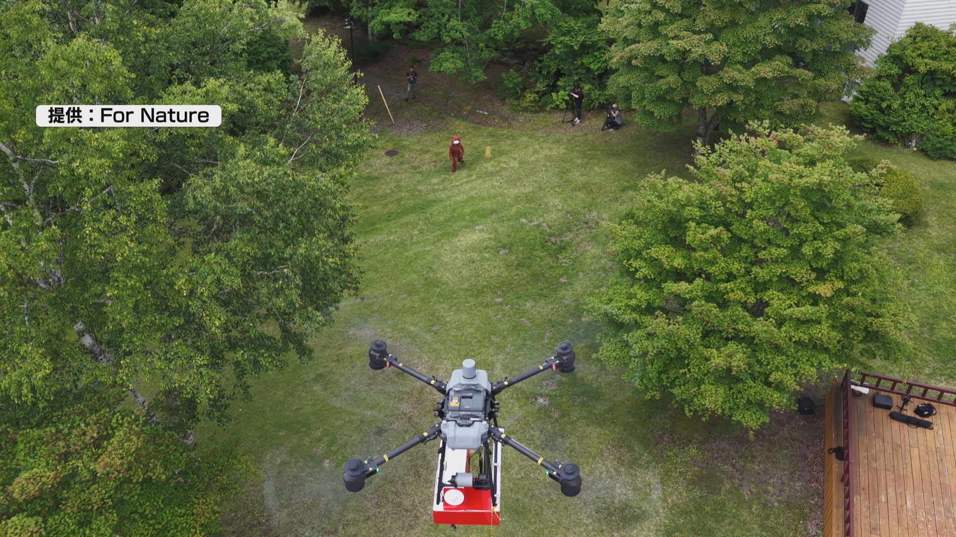 ドローンからボールを発射！クマ撃退実証実験　ボールの中に辛み成分や嫌いな臭い成分　山へ追い払う　今年…
