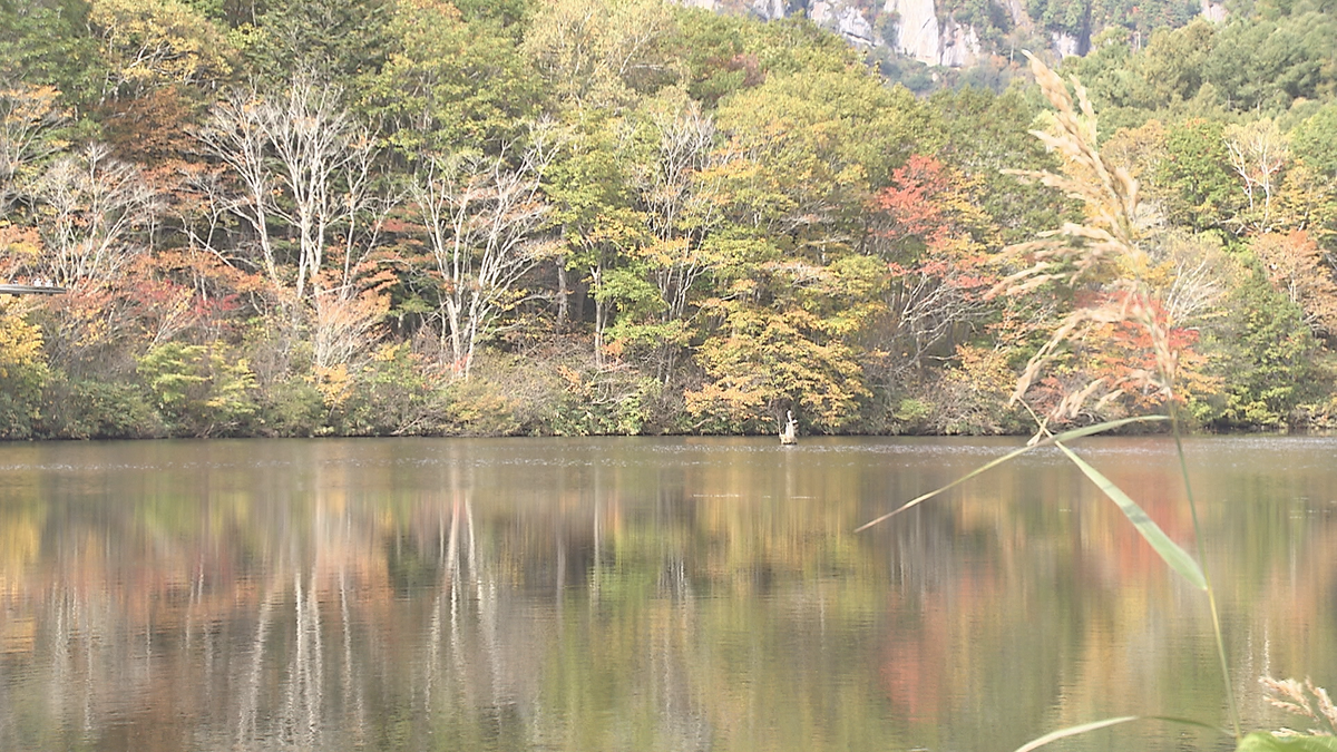 「去年見て感動　もう一度見たいと思って…」鏡池まもなく紅葉ピークに　水面に映る秋の絶景　観光客を魅了