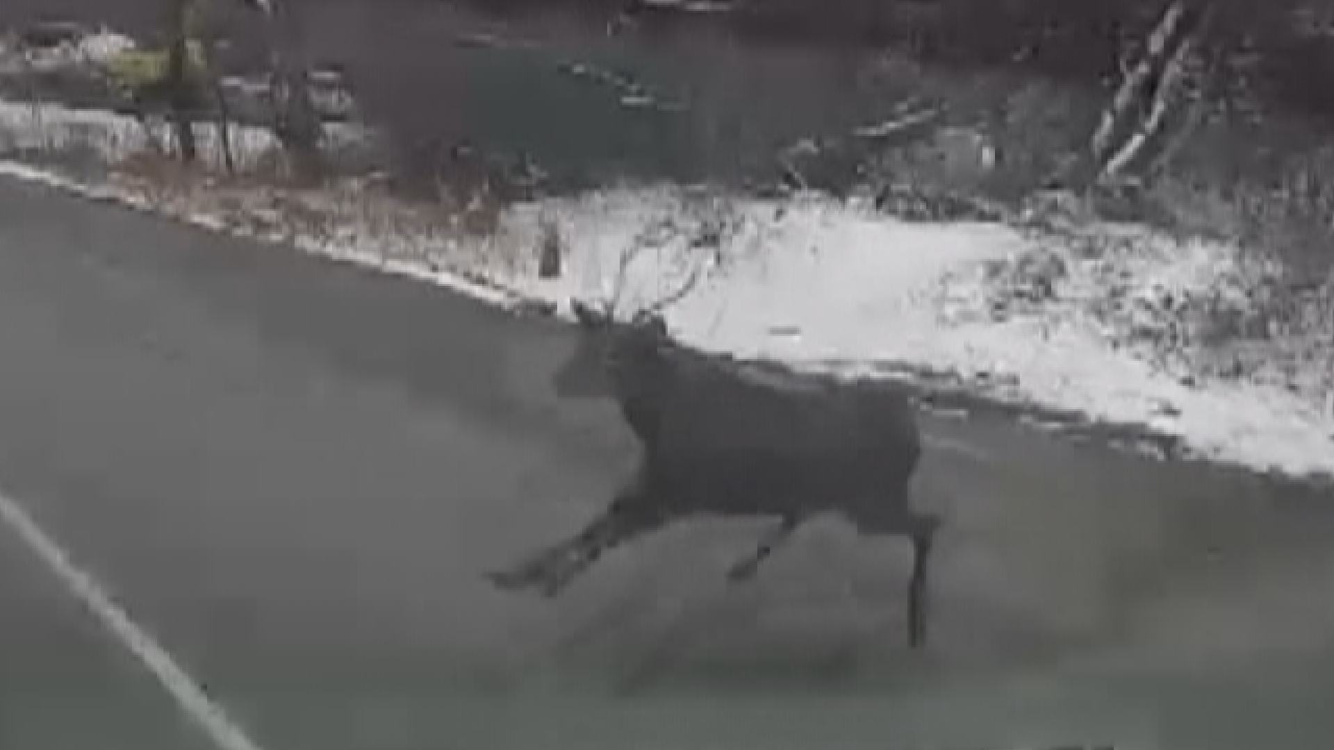 「空から何か物が落ちてきた感じ。ドス…