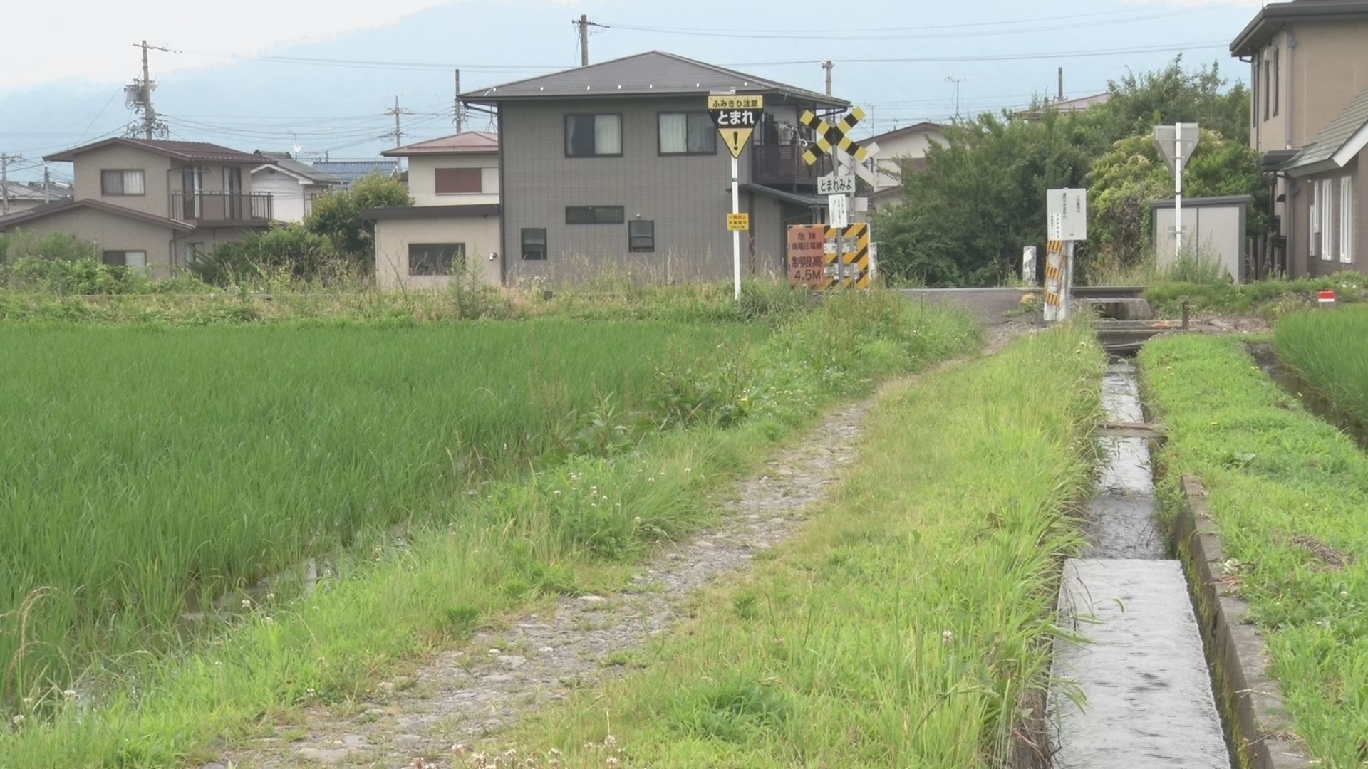 イノシシに襲われ高齢男性2人がけが……