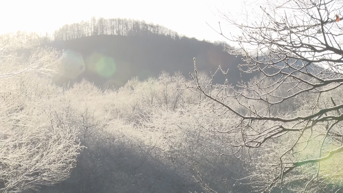 北部の山沿いを中心に大雪　小谷村では一時大雪警報も　19日午後6時までの24時間予想降雪量　北部「30センチ」　中部「10センチ」　南部「3センチ」