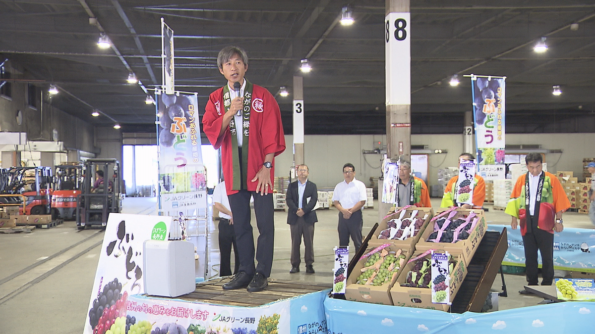 旬のブドウをトップセールス…長野市の露地ブドウ出荷ピーク迎える【長野】