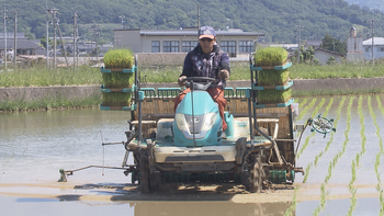【令和の米騒動】一体いくらになるの？　急激な値下げを不安視　生産者が語るコメの適正価格とは？