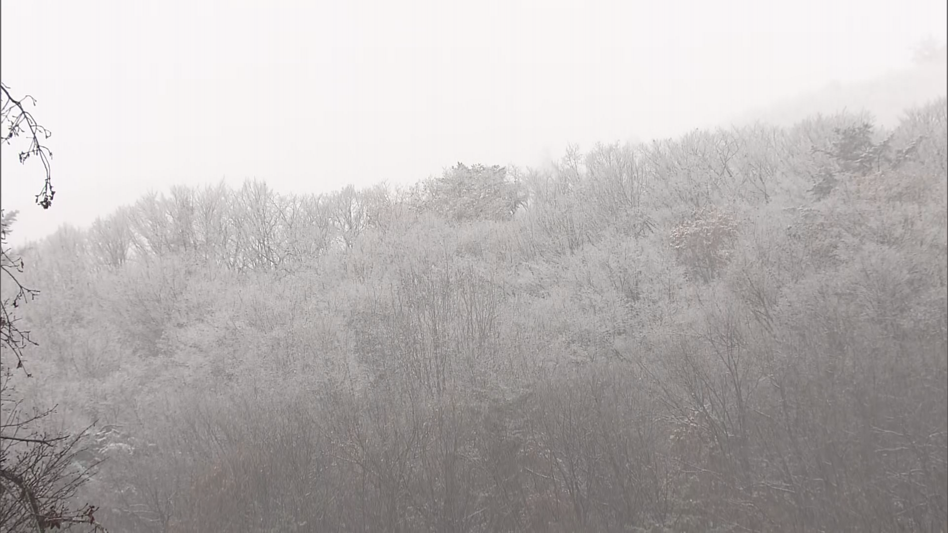 白馬村は雪の朝　午後から19日かけては平地でも積雪か　19日正午まで予想降雪量　北部20センチ　中部…