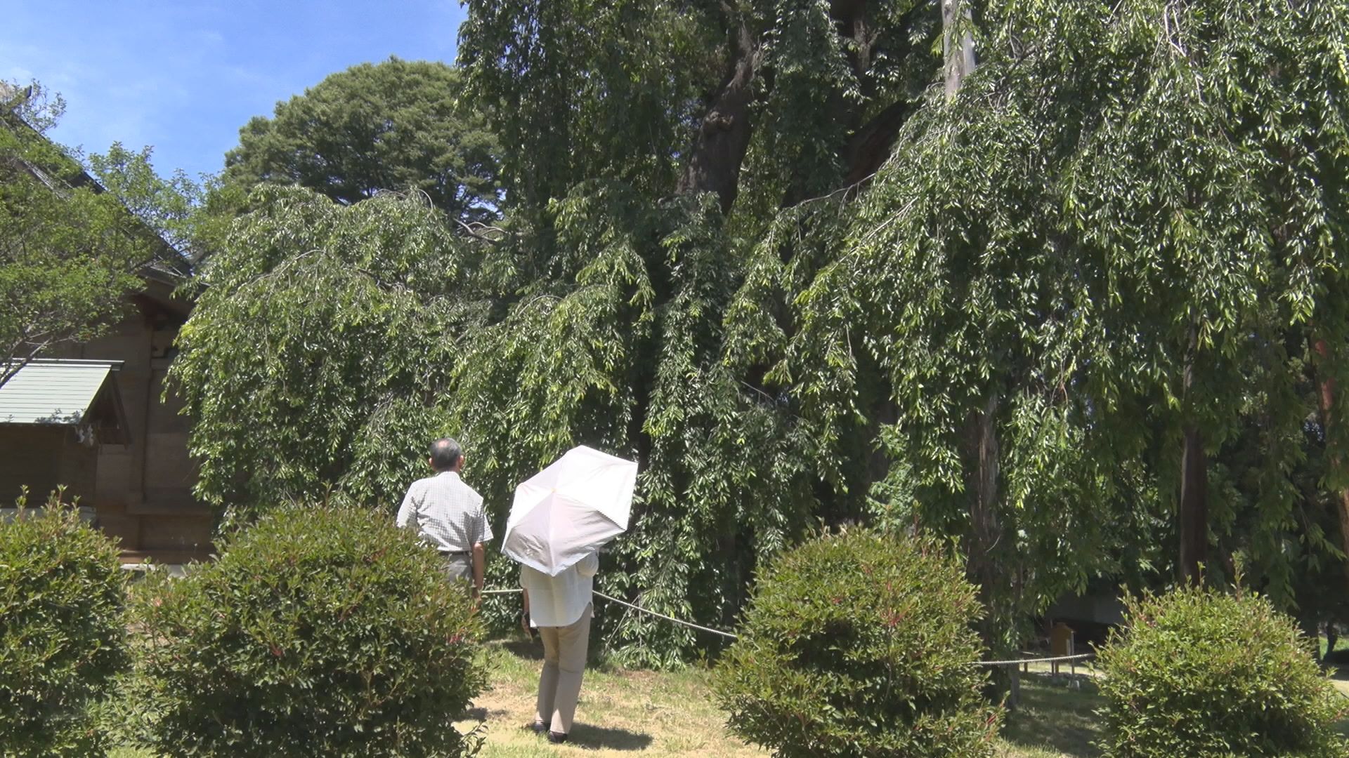 【特集】8人の命奪った岡谷市の土石流…