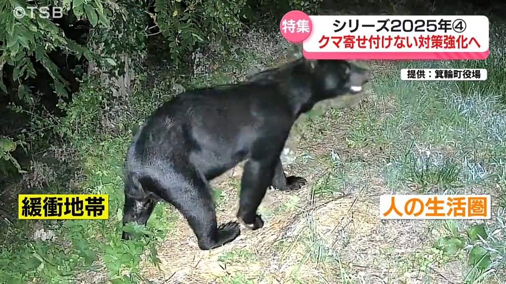 特集・シリーズ2025④】雪が降っても出没 相次ぐクマ被害 クマを