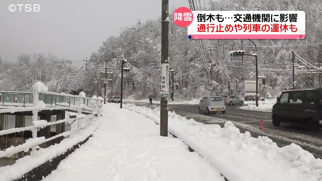 雪による倒木で交通機関に影響　軽井沢…