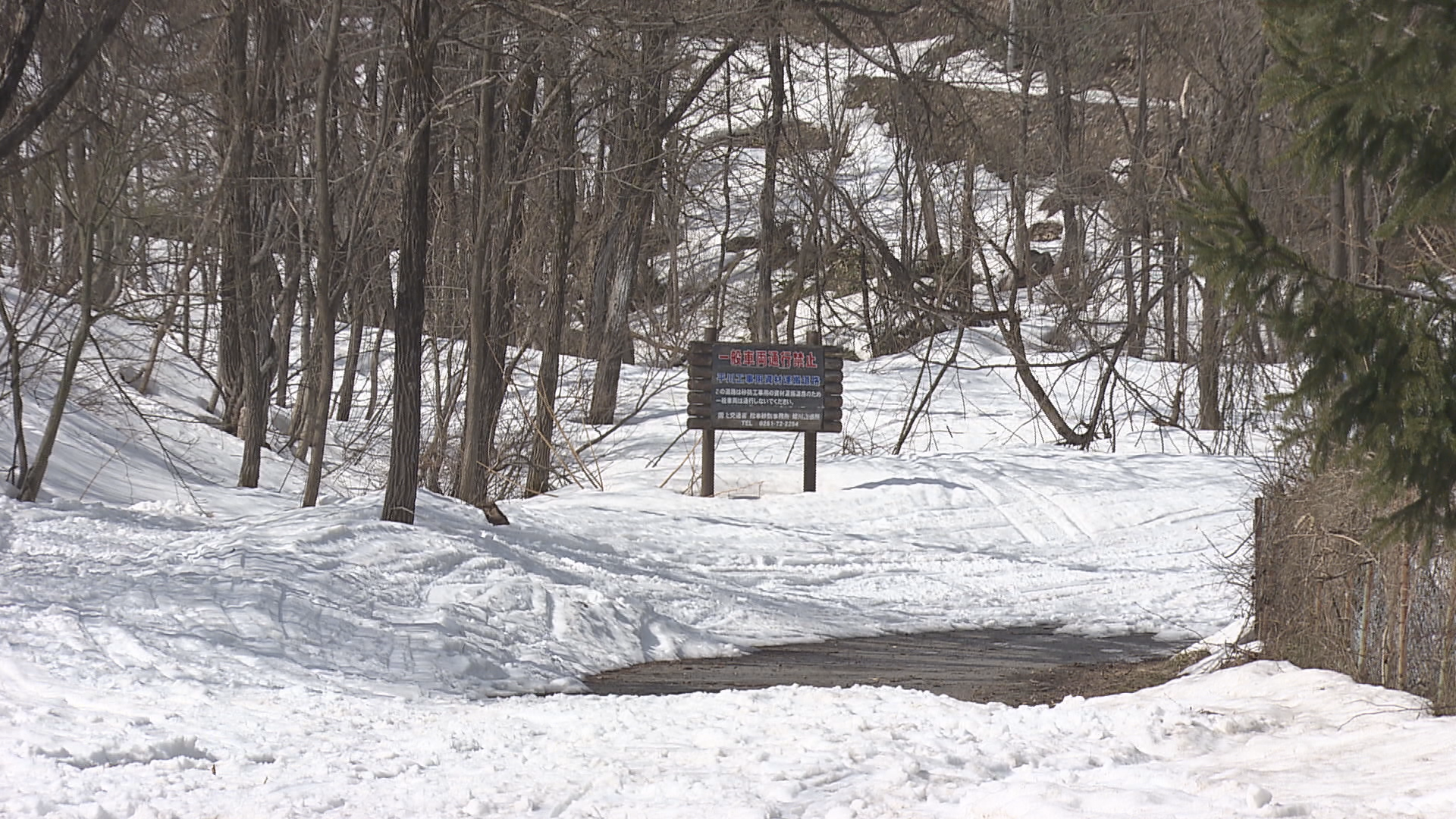 河川敷での体験ツアー中止を県が指示　白馬村でのスノーモービル死亡事故【長野】