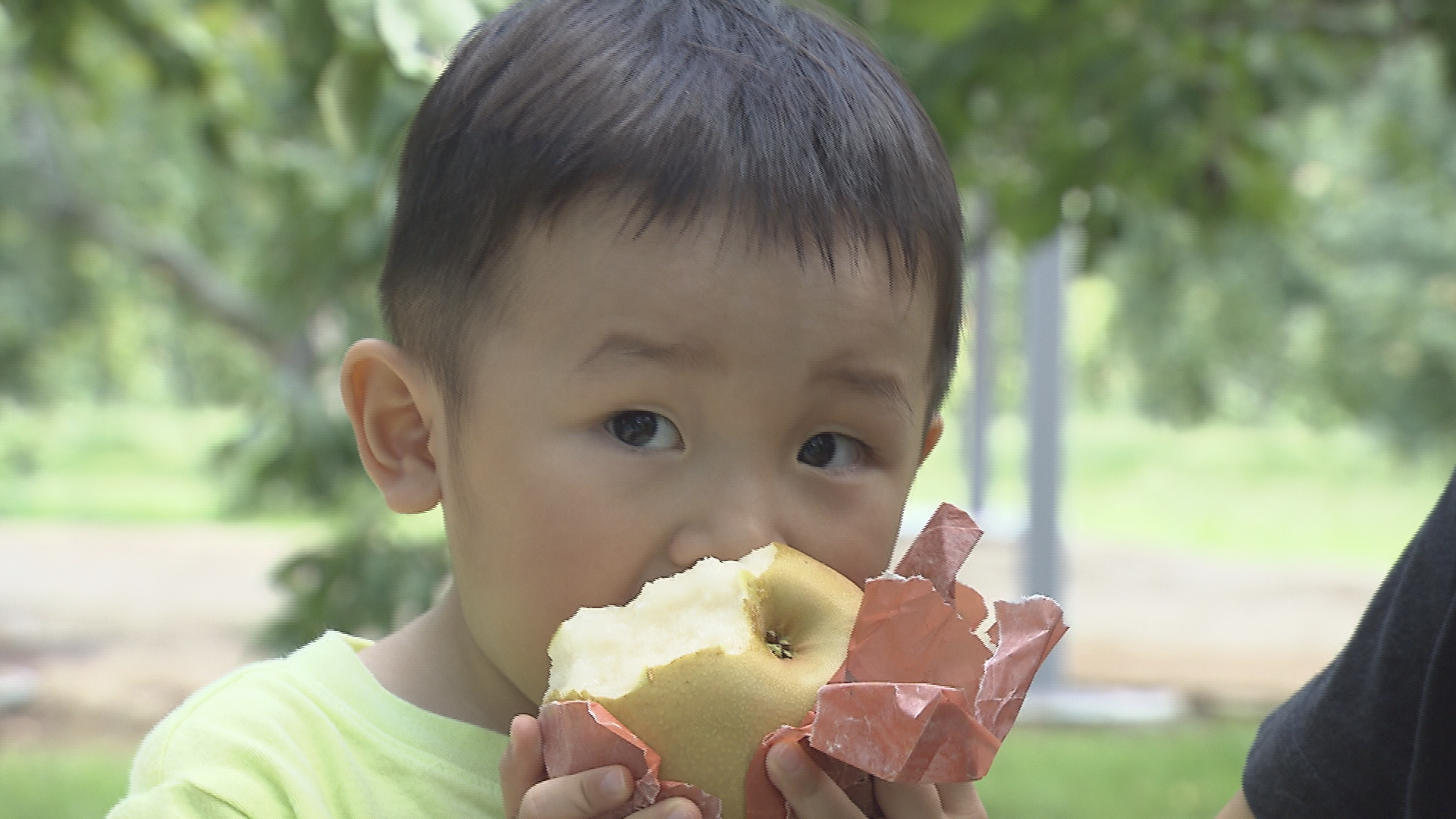【特集・秋のおススメスポット②】果汁…