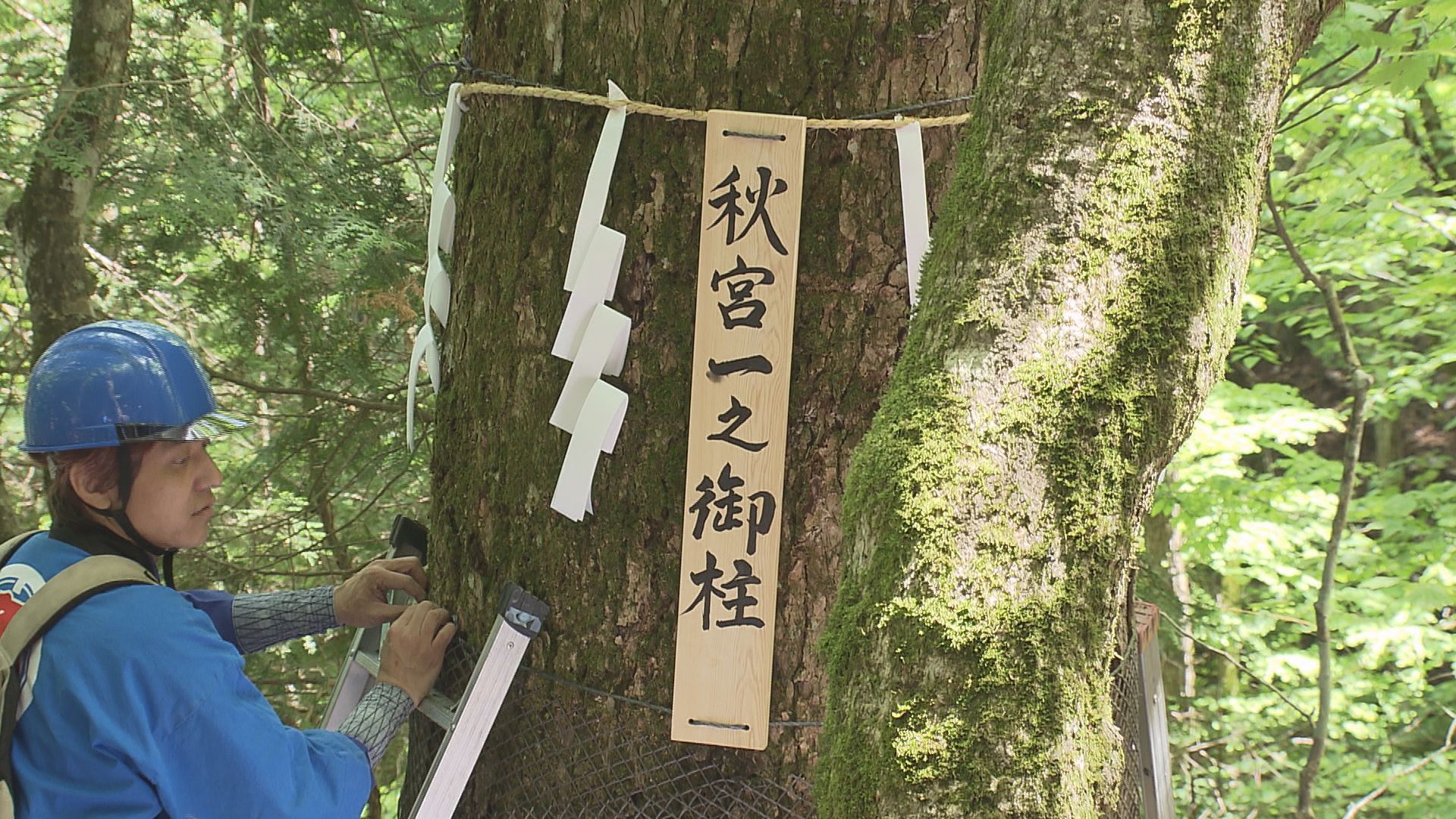 2028年の諏訪大社御柱祭へ　下社の…
