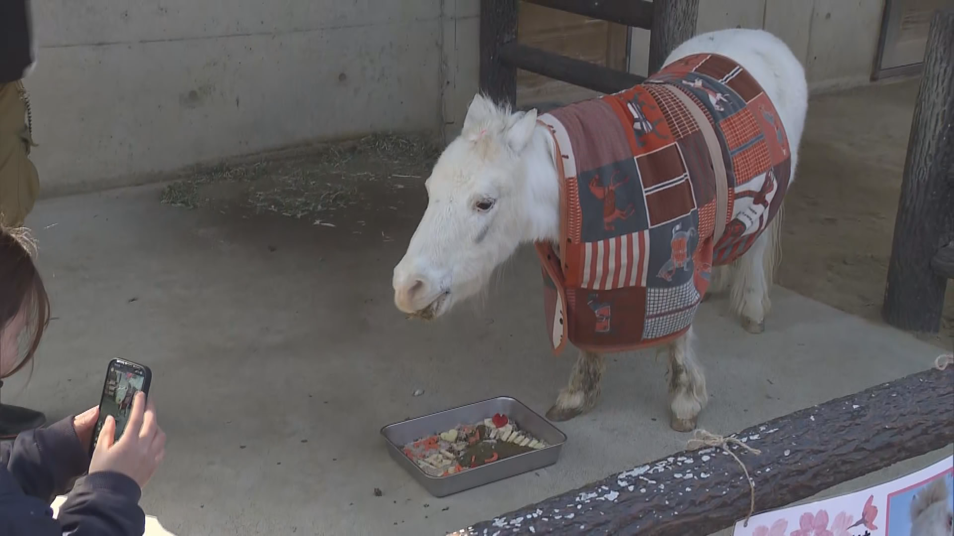 3連休に「春の動物園まつり」にぎわう…