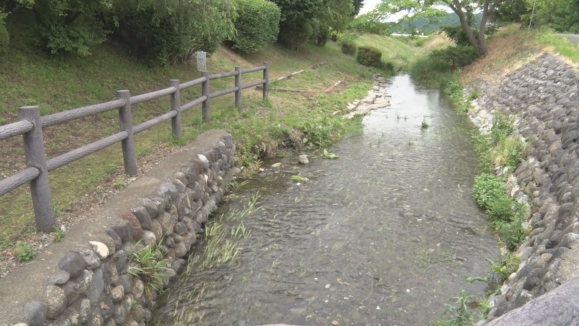 一体なぜ？ヘイケボタルが危機か…4～…