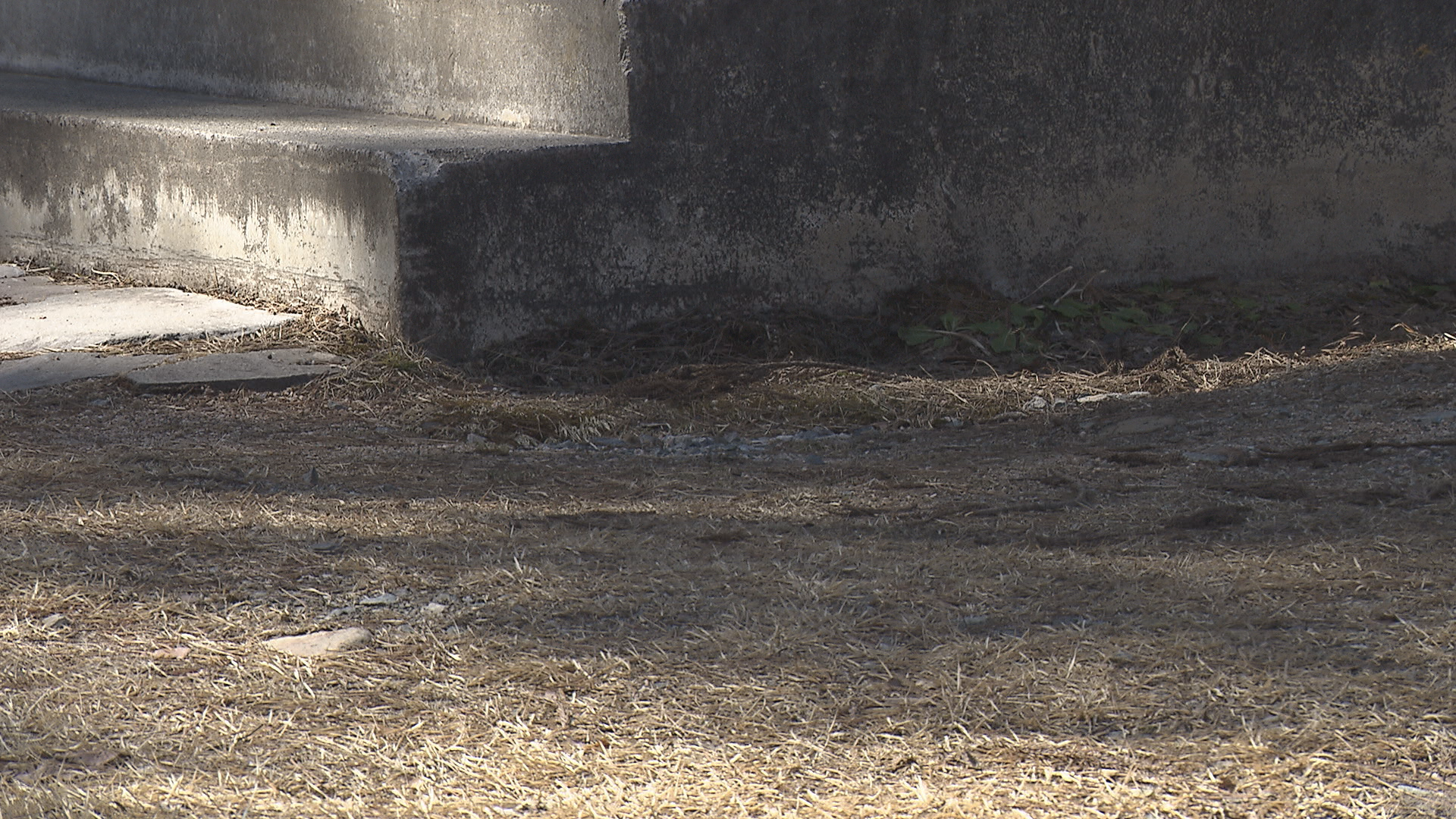 住宅地上昇率「全国トップ」は白馬村……