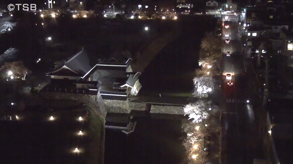 国宝松本城桜並木光の回廊ライトアップ…