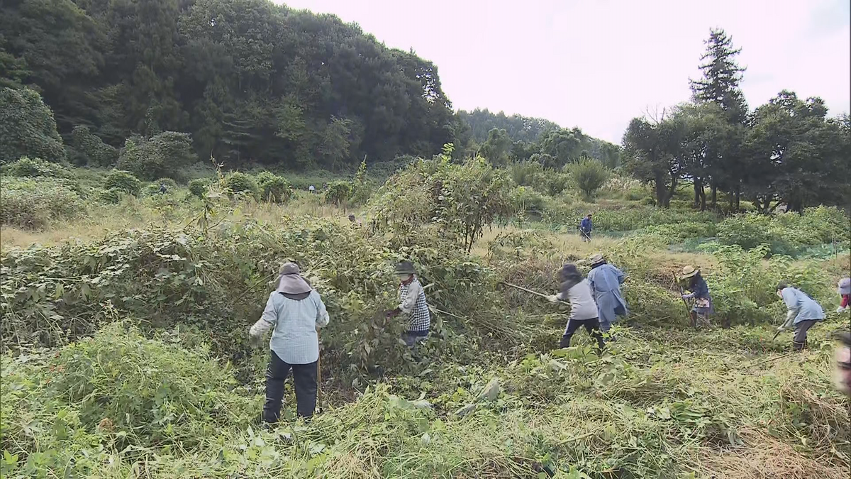 「クマ被害の減少につながれば」　人里へのクマ出没防げ!　木島平村で地元の高校生企画の草刈り作業【長野】