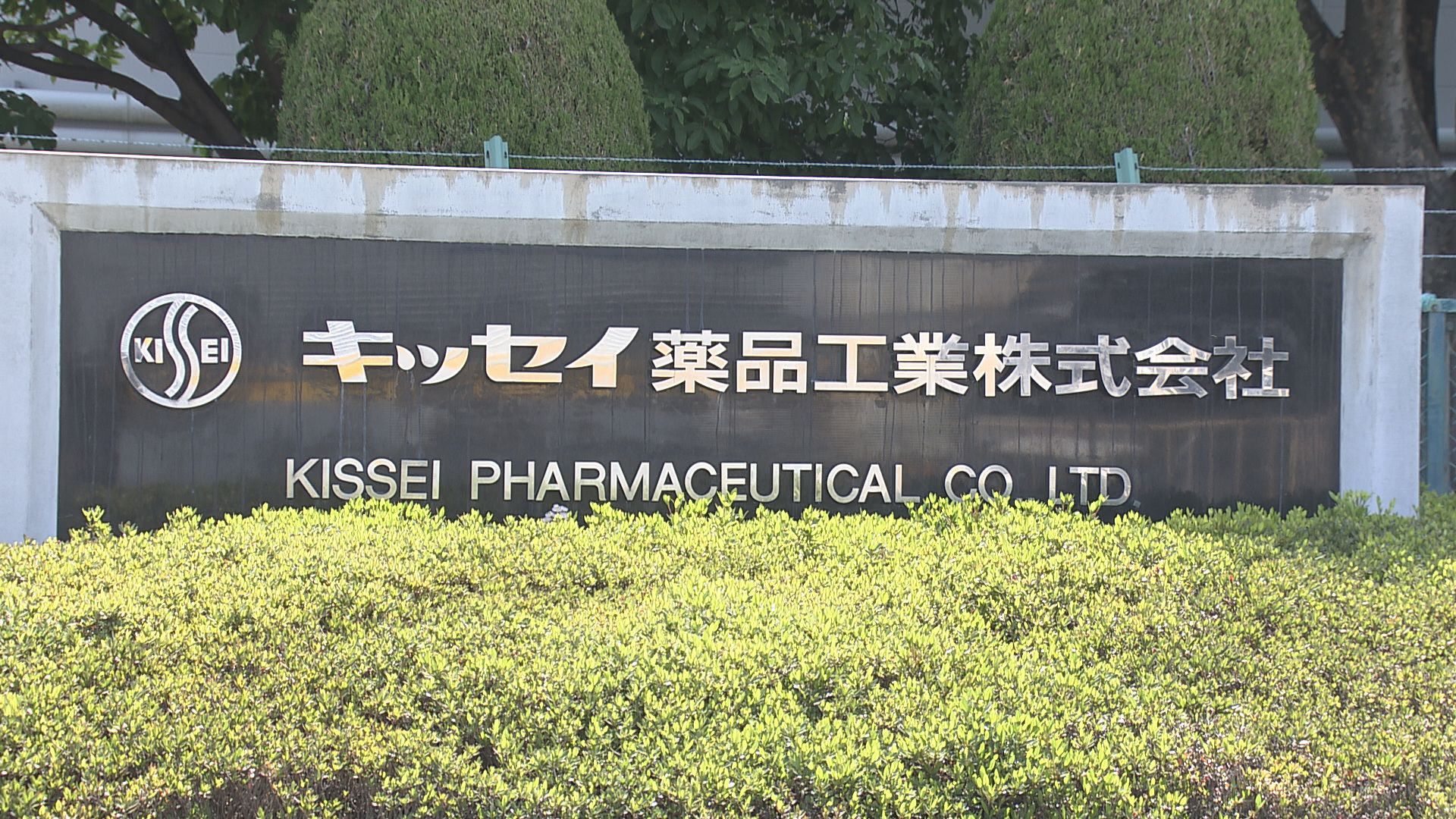 キッセイ薬品工業販売の血管炎治療薬「…