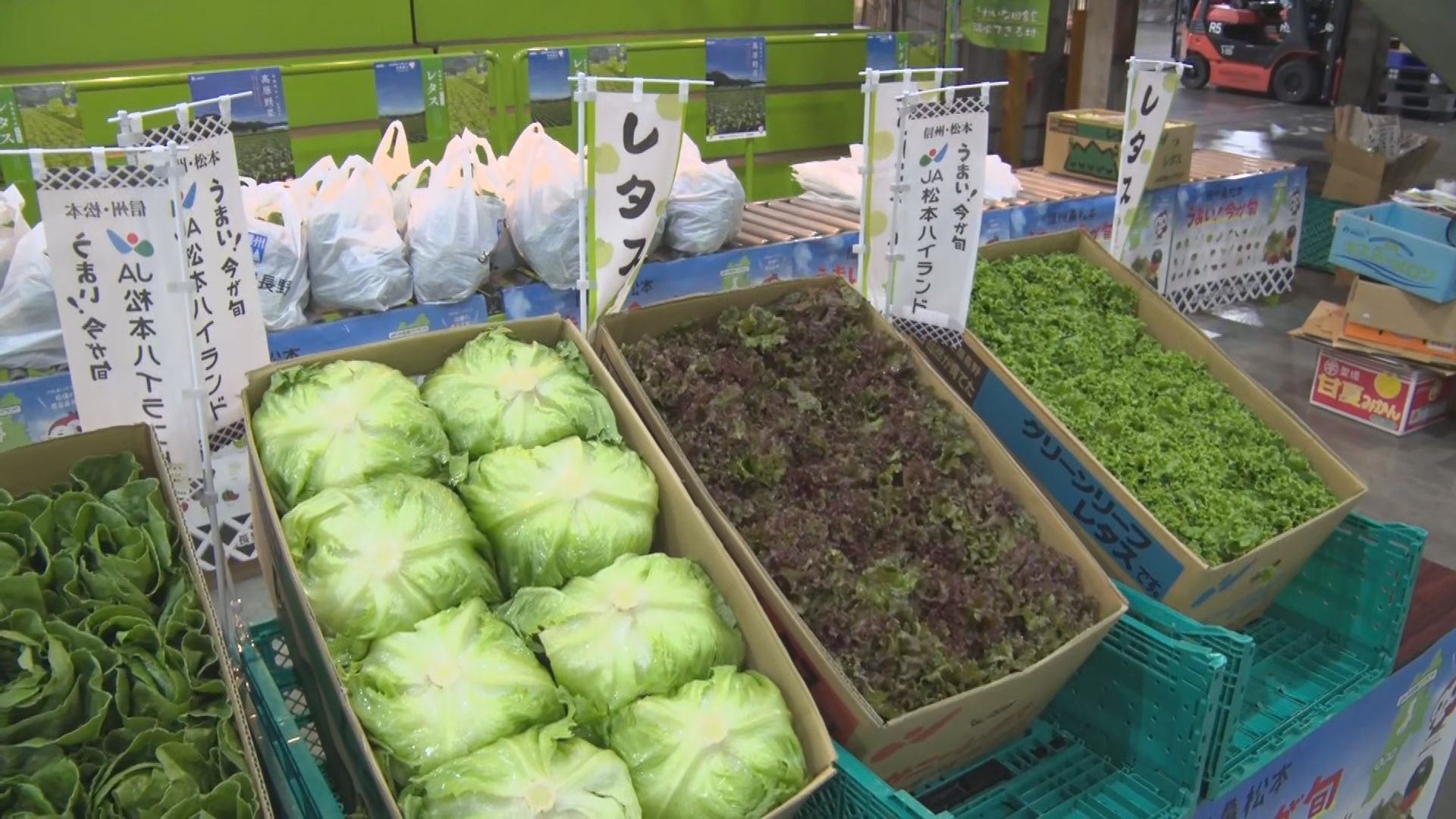 これから出荷のピーク　「パリパリ、シ…