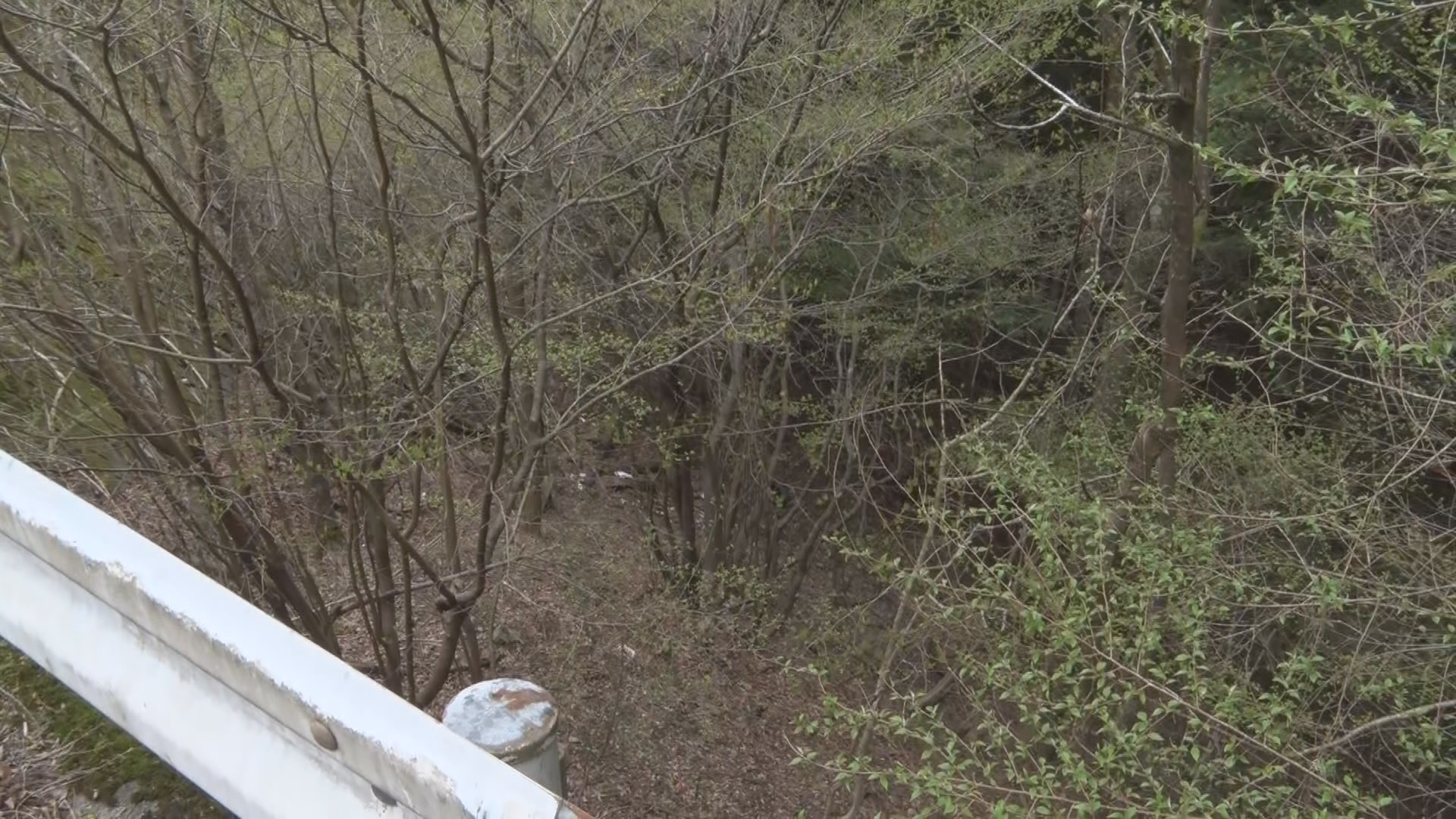 長野の山中に母親の遺体を遺棄　逮捕さ…