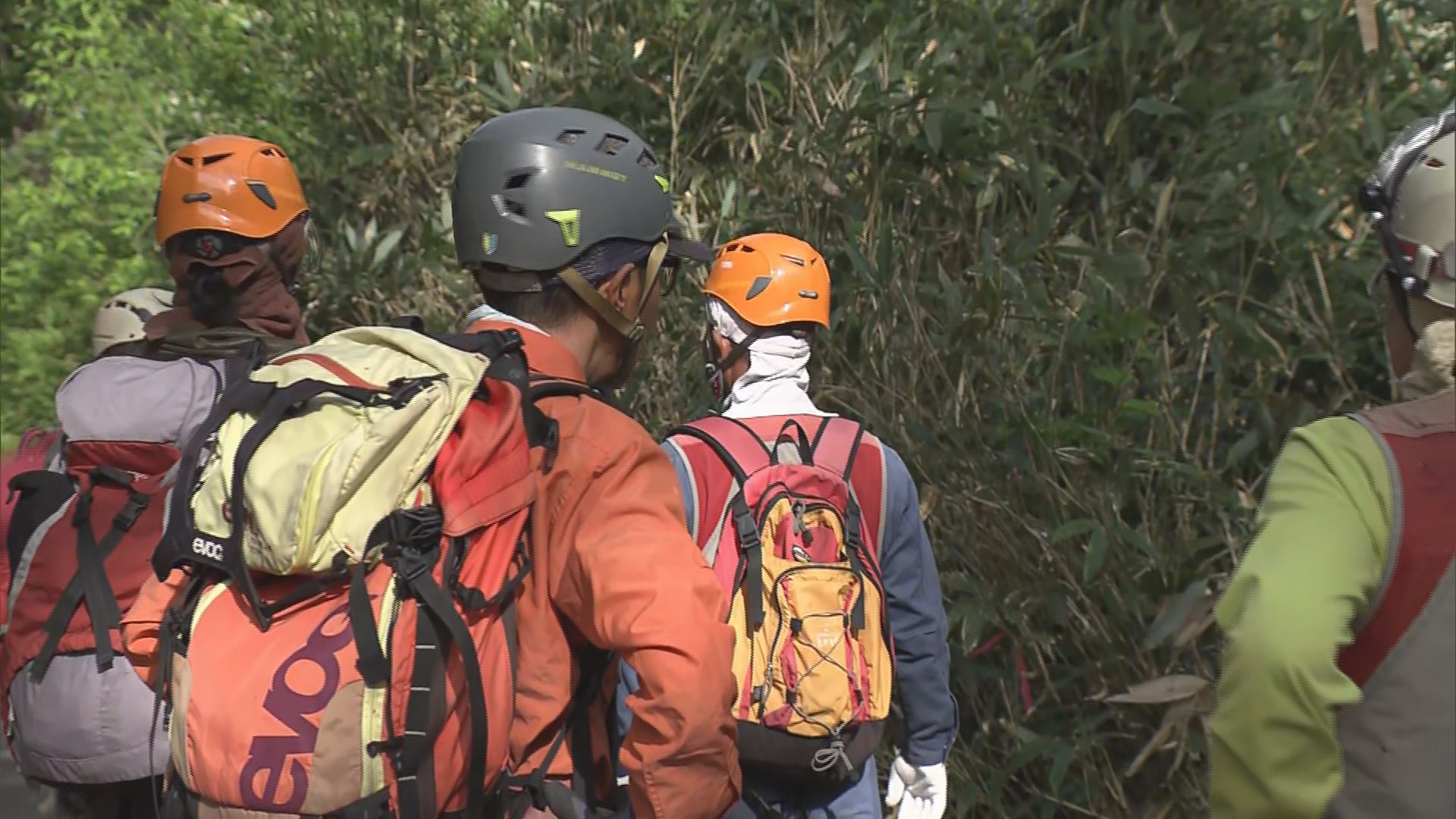 長野県内で相次ぐネマガリダケ採りの遭難　地面をはうように探すため遭難の危険が　複数で入山後に単独行動…