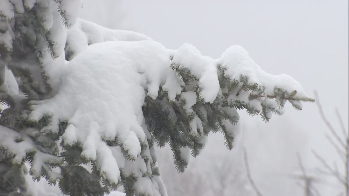 各地で雪に　北部の山沿いでは大雪に十分注意を【長野】