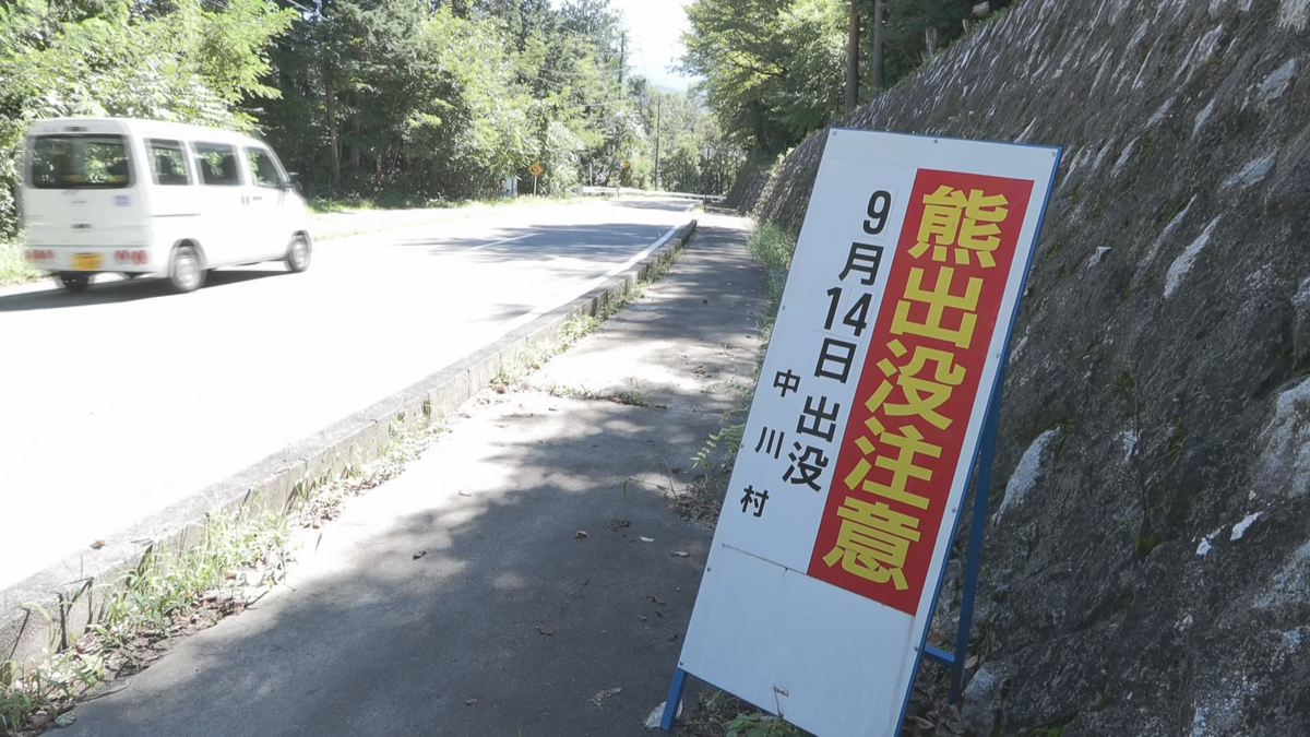 長野県内でクマの目撃相次ぐ 松本市では車に体当たり ヘッドライトの一