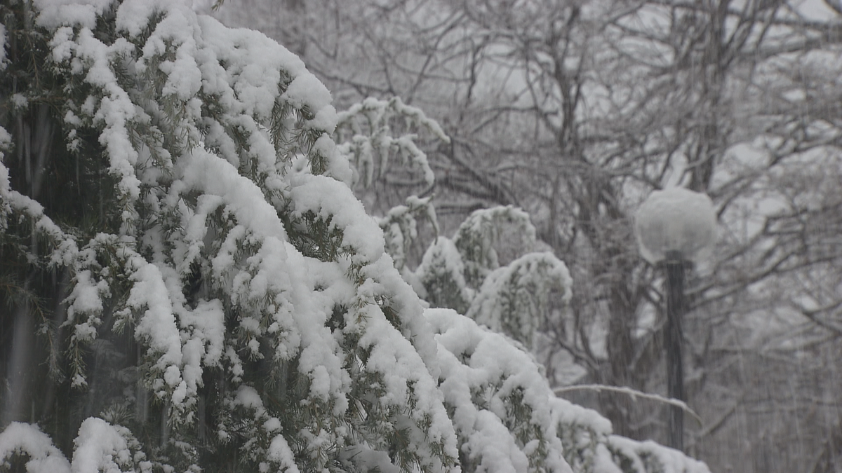 白馬は雪…７日も北部など中心に大雪の可能性も【長野】