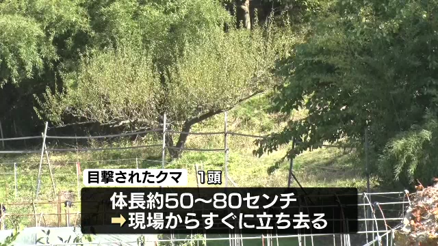 「戸を開けたら表にクマがいた」住宅の敷地内にクマ　飯田市・中野市で目撃情報　いずれも発見できず　注意…