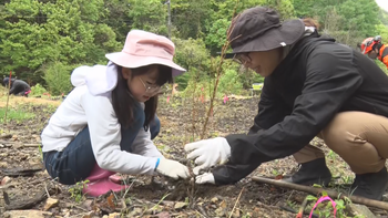 「里山の楽しさ知って」50年後の未来へ植樹イベント【長野・上田市】